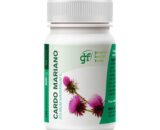 Cardo mariano 500mg 100 comprimidos GHF