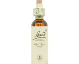 Flor nº 12 Gentian 20ml Bach