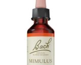 Flor nº 20 Mimulus 20ml Bach