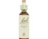 Flor nº 33 Walnut-Nogal 20ml Bach