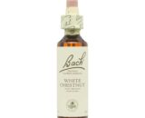 Flor nº 35 White Chestnut 20ml Bach