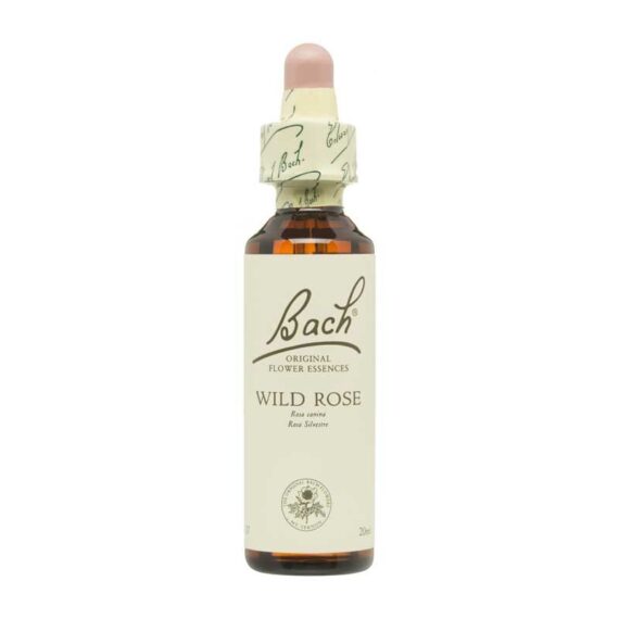 Flor nº 37 Wild Rose 20ml Bach