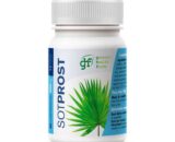 Sot prost 600mg 80 comprimidos GHF