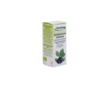 Tintura Eleuterococo-Eleutherococcus senticosus Bio 50ml Biover