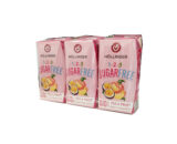 Minibrick Te de melocoton & maracura Stevia Bio 3x200ml Hollinger